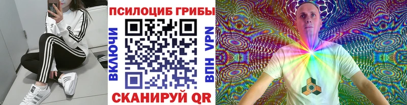 хочу наркоту  Михайловск  Псилоцибиновые грибы Magic Shrooms 