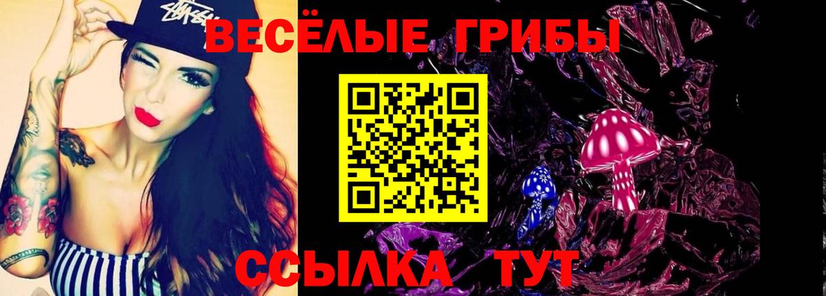 Михайловск  Галлюциногенные грибы мухоморы  Вход с VPN  где купить наркоту  Псилоцибиновые грибы Psilocybe 
