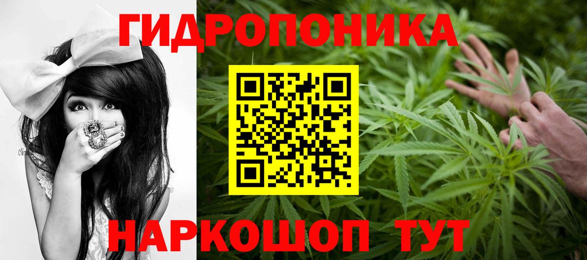 Бошки марихуана SATIVA & INDICA Михайловск